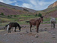 trekking au Maroc - M'Goun